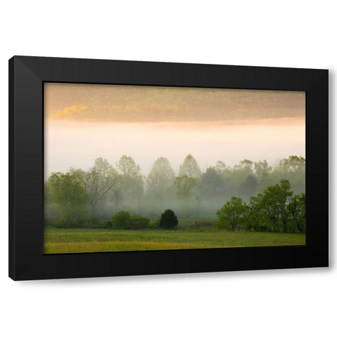 Tennessee Early morning fog in Cades Cove Black Modern Wood Framed Art Print with Double Matting by Wells, Joanne