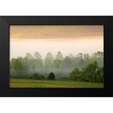 Tennessee Early morning fog in Cades Cove Black Modern Wood Framed Art Print by Wells, Joanne