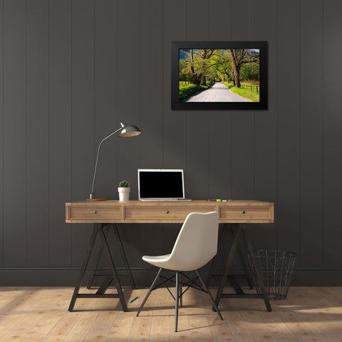 Tennessee-Sparks Lane in the spring at Cades Cove Black Modern Wood Framed Art Print by Wells, Joanne