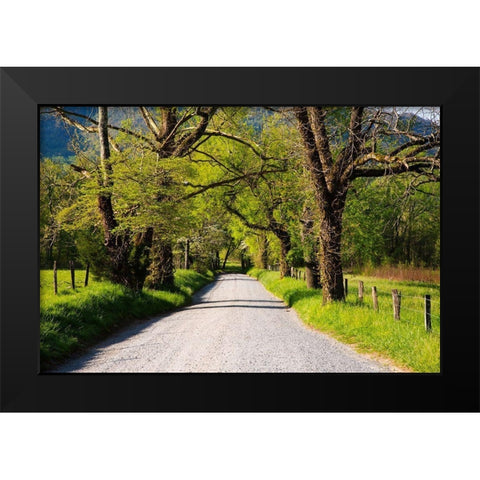 Tennessee-Sparks Lane in the spring at Cades Cove Black Modern Wood Framed Art Print by Wells, Joanne