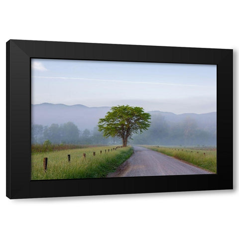 Hyatt Lane in fog Cades Cove Great Smoky Mountains National Park-Tennessee Black Modern Wood Framed Art Print with Double Matting by Day, Richard and Susan