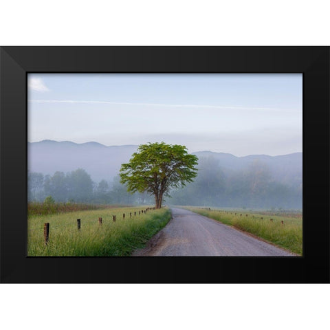 Hyatt Lane in fog Cades Cove Great Smoky Mountains National Park-Tennessee Black Modern Wood Framed Art Print by Day, Richard and Susan