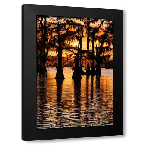 Bald cypress trees silhouetted at sunset Caddo Lake-Uncertain-Texas Black Modern Wood Framed Art Print with Double Matting by Jones, Adam