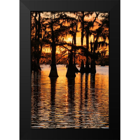 Bald cypress trees silhouetted at sunset Caddo Lake-Uncertain-Texas Black Modern Wood Framed Art Print by Jones, Adam