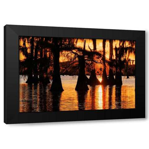 Bald cypress trees silhouetted at sunset Caddo Lake-Uncertain-Texas Black Modern Wood Framed Art Print with Double Matting by Jones, Adam
