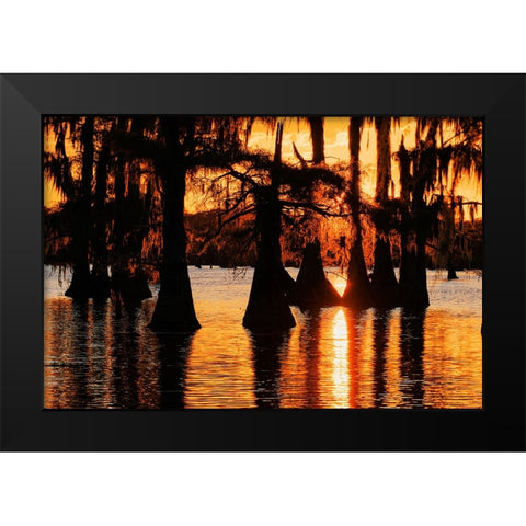 Bald cypress trees silhouetted at sunset Caddo Lake-Uncertain-Texas Black Modern Wood Framed Art Print by Jones, Adam