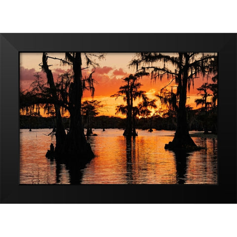 Bald cypress trees silhouetted at sunset Caddo Lake-Uncertain-Texas Black Modern Wood Framed Art Print by Jones, Adam