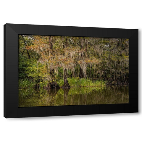 Cypress trees and Spanish moss lining shoreline of Caddo Lake-Uncertain-Texas Black Modern Wood Framed Art Print by Jones, Adam