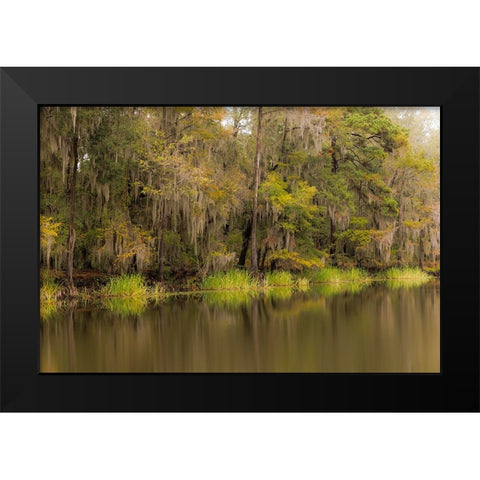 Cypress trees and Spanish moss lining shoreline of Caddo Lake-Uncertain-Texas Black Modern Wood Framed Art Print by Jones, Adam