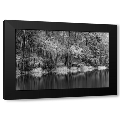 Cypress trees and Spanish moss lining shoreline of Caddo Lake-Uncertain-Texas Black Modern Wood Framed Art Print with Double Matting by Jones, Adam