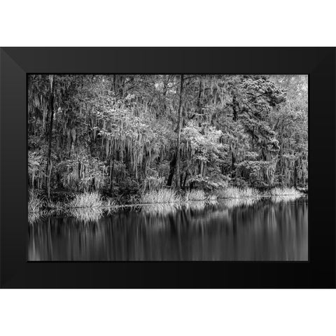 Cypress trees and Spanish moss lining shoreline of Caddo Lake-Uncertain-Texas Black Modern Wood Framed Art Print by Jones, Adam