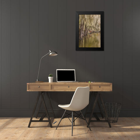 Cypress trees and Spanish moss lining shoreline of Caddo Lake-Uncertain-Texas Black Modern Wood Framed Art Print by Jones, Adam