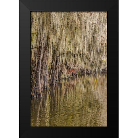 Cypress trees and Spanish moss lining shoreline of Caddo Lake-Uncertain-Texas Black Modern Wood Framed Art Print by Jones, Adam