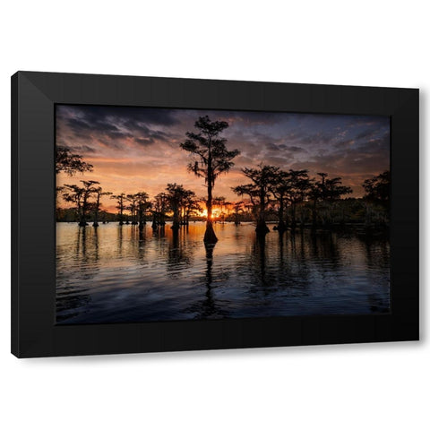 Bald cypress trees silhouetted at sunset Caddo Lake-Uncertain-Texas Black Modern Wood Framed Art Print with Double Matting by Jones, Adam
