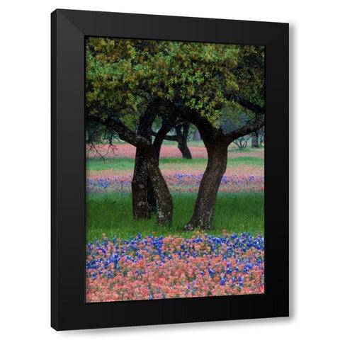 TX, Hill Country, Texas flowers and Dancing Trees Black Modern Wood Framed Art Print by Rotenberg, Nancy