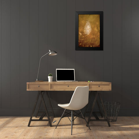 TX, Rio Grande Valley Backlit spider web Black Modern Wood Framed Art Print by Welling, Dave