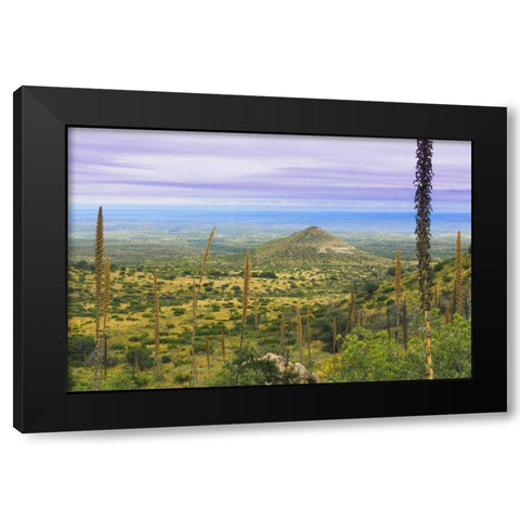 TX, Guadalupe Mountains NP Mountain Landscape Black Modern Wood Framed Art Print with Double Matting by Paulson, Don