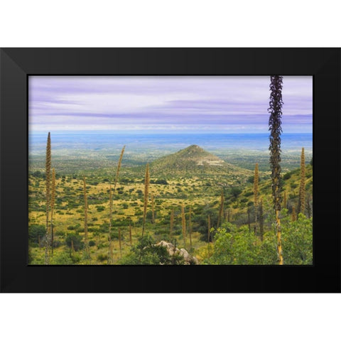 TX, Guadalupe Mountains NP Mountain Landscape Black Modern Wood Framed Art Print by Paulson, Don