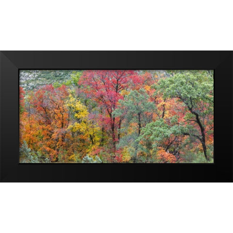 TX, Guadalupe Mts Panoramic of McKittrick Canyon Black Modern Wood Framed Art Print by Paulson, Don