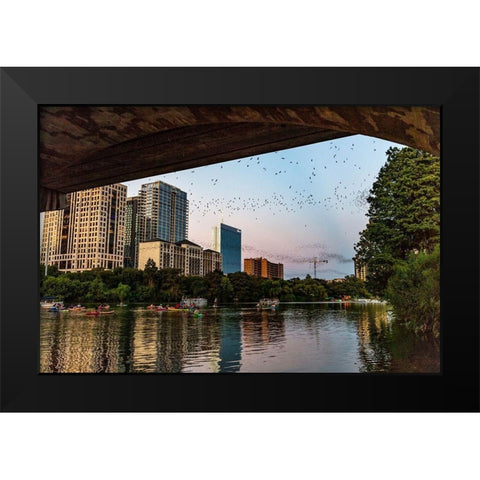 Mexican free tailed bats fly from the Congress Street Bridge at dusk in Austin-Texas-USA Black Modern Wood Framed Art Print by Haney, Chuck