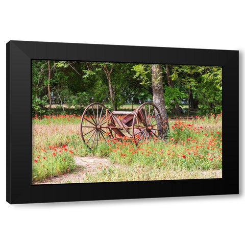 Castroville-Texas-USA-Rusted antique farm equipment in a field of poppies Black Modern Wood Framed Art Print with Double Matting by Wilson, Emily M.