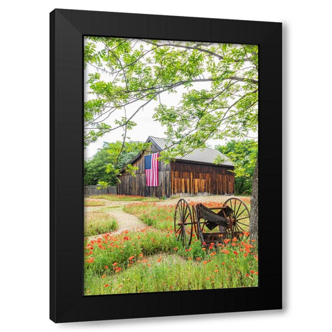 Castroville-Texas-USA-Large American flag on a barn in the Texas Hill Country Black Modern Wood Framed Art Print by Wilson, Emily M.