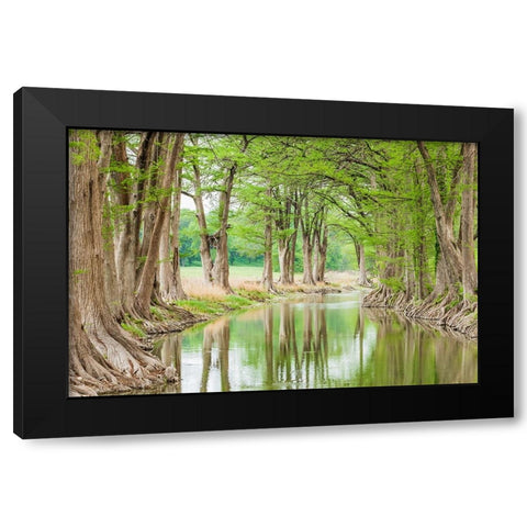 Waring-Texas-USA-Trees along the Guadalupe River in the Texas Hill Country Black Modern Wood Framed Art Print by Wilson, Emily M.