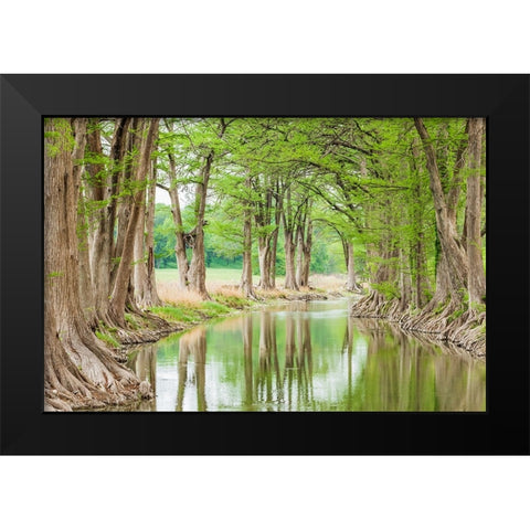 Waring-Texas-USA-Trees along the Guadalupe River in the Texas Hill Country Black Modern Wood Framed Art Print by Wilson, Emily M.