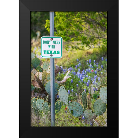 Llano-Texas-USA-Dont Mess With Texas sign in the hill country Black Modern Wood Framed Art Print by Wilson, Emily M.