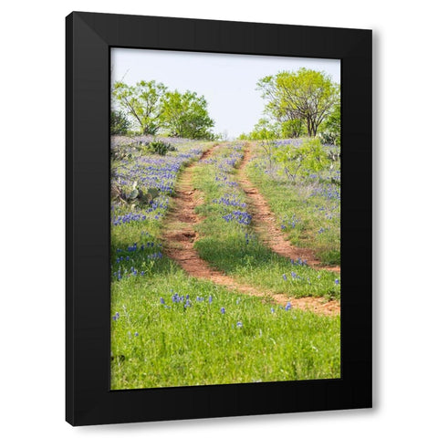 Llano-Texas-USA-Two rut road through bluebonnets in the Texas Hill Country Black Modern Wood Framed Art Print by Wilson, Emily M.