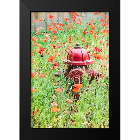 Castroville-Texas-USA-Poppies and fire hydrant in the Texas Hill Country Black Modern Wood Framed Art Print by Wilson, Emily M.