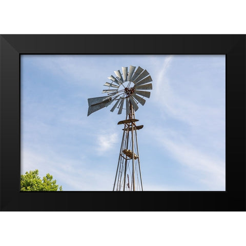 Castroville-Texas-USA-Windmill in the Texas Hill Country Black Modern Wood Framed Art Print by Wilson, Emily M.