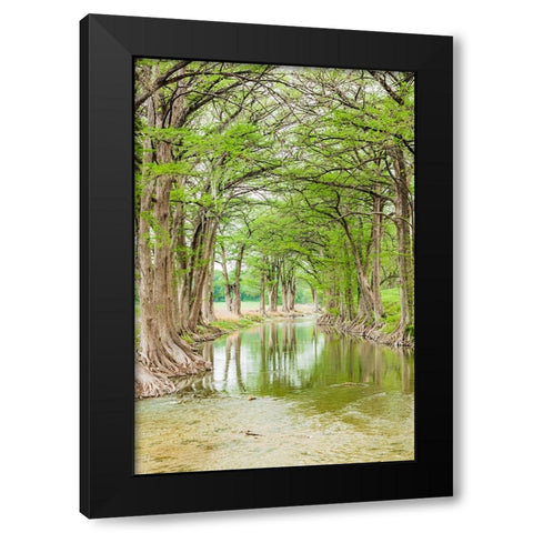 Waring-Texas-USA-Trees along the Guadalupe River in the Texas Hill Country Black Modern Wood Framed Art Print by Wilson, Emily M.