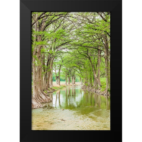 Waring-Texas-USA-Trees along the Guadalupe River in the Texas Hill Country Black Modern Wood Framed Art Print by Wilson, Emily M.