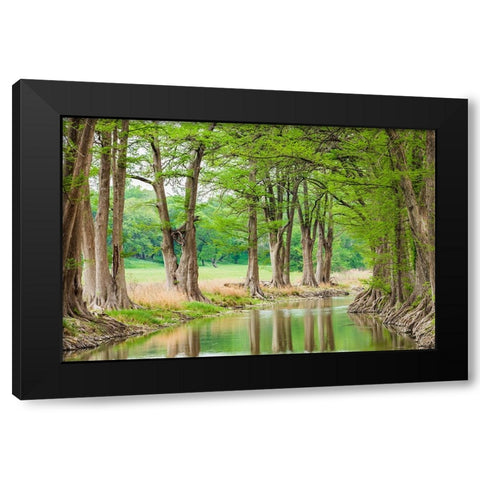 Waring-Texas-USA-Trees along the Guadalupe River in the Texas Hill Country Black Modern Wood Framed Art Print with Double Matting by Wilson, Emily M.
