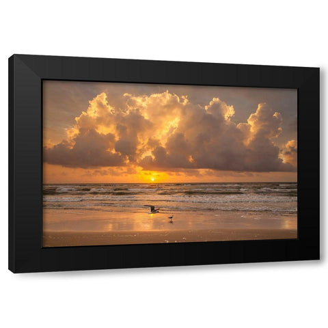 Sunrise on Gulf of Mexico at South Padre Island Black Modern Wood Framed Art Print with Double Matting by Ditto, Larry