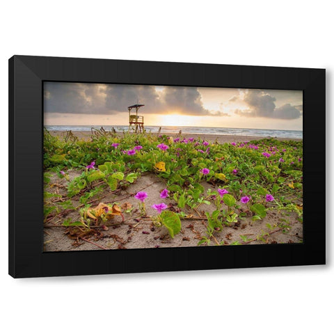 Sunrise at South Padre Island Black Modern Wood Framed Art Print with Double Matting by Ditto, Larry