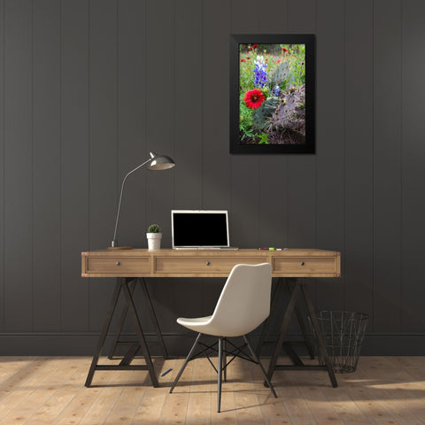 Firewheels and Bluebonnets with Prickly Pear Cactus Black Modern Wood Framed Art Print by Ditto, Larry