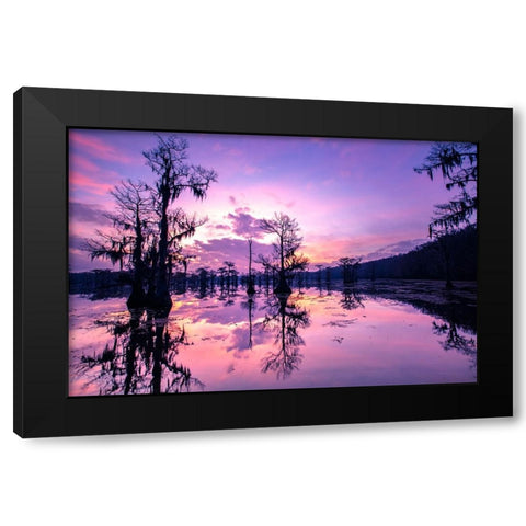 Caddo Lake at sunrise Black Modern Wood Framed Art Print by Ditto, Larry