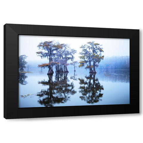 Caddo Lake morning Black Modern Wood Framed Art Print with Double Matting by Ditto, Larry