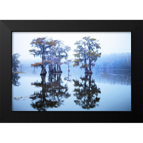 Caddo Lake morning Black Modern Wood Framed Art Print by Ditto, Larry