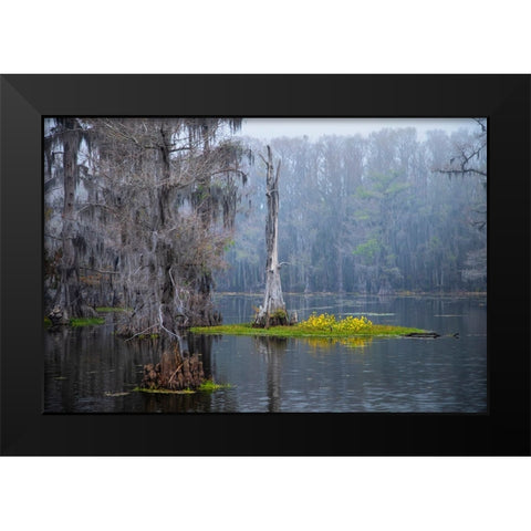 Caddo Lake morning Black Modern Wood Framed Art Print by Ditto, Larry