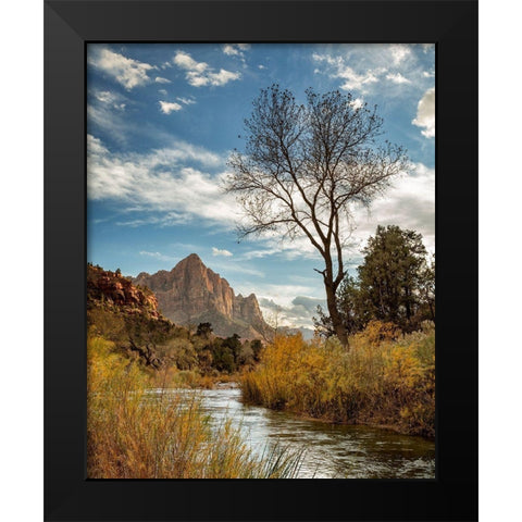 Utah-Zion National Park-Virgin River and The Watchman near sunset Black Modern Wood Framed Art Print by Collins, Ann