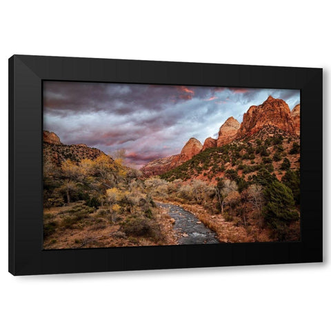 Utah-Zion National Park-A fiery sunset lights up Zions Virgin River and cottonwood trees Black Modern Wood Framed Art Print by Collins, Ann