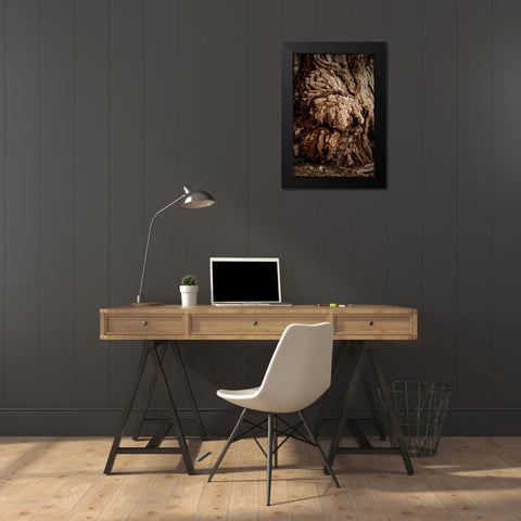 USA-Utah-Torrey Capitol Reef National Park-The Mail Tree-Fremont Cottonwood Black Modern Wood Framed Art Print by Friel, Bernard