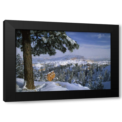 USA, Utah, Bryce Canyon in Winter Black Modern Wood Framed Art Print by Rotenberg, Nancy