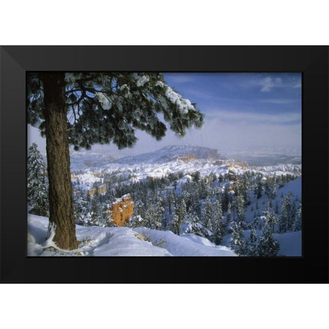USA, Utah, Bryce Canyon in Winter Black Modern Wood Framed Art Print by Rotenberg, Nancy