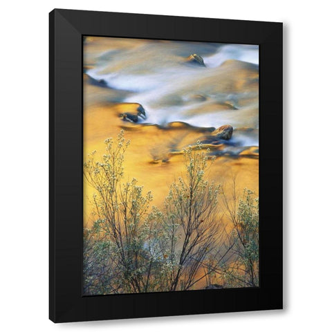 UT, Zion NP, Virgin River With Canyon Reflections Black Modern Wood Framed Art Print with Double Matting by Rotenberg, Nancy