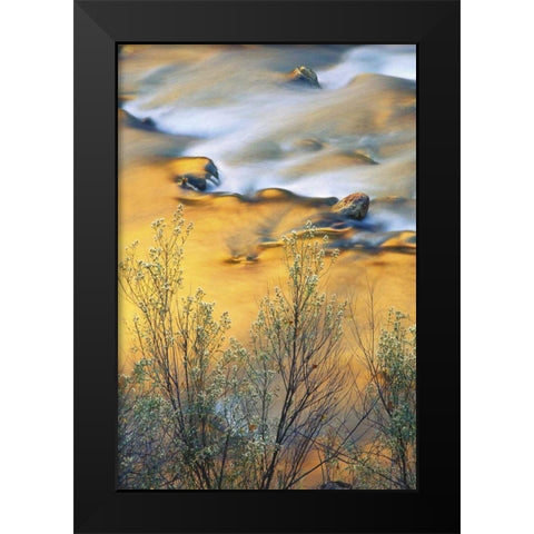 UT, Zion NP, Virgin River With Canyon Reflections Black Modern Wood Framed Art Print by Rotenberg, Nancy