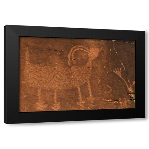 Utah Petroglyph rock art at Dinosaur NM Black Modern Wood Framed Art Print by Flaherty, Dennis